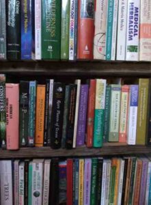 Pursuing Your Interest in Herbalism Image